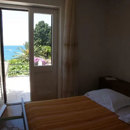 Danijela Apartman *
